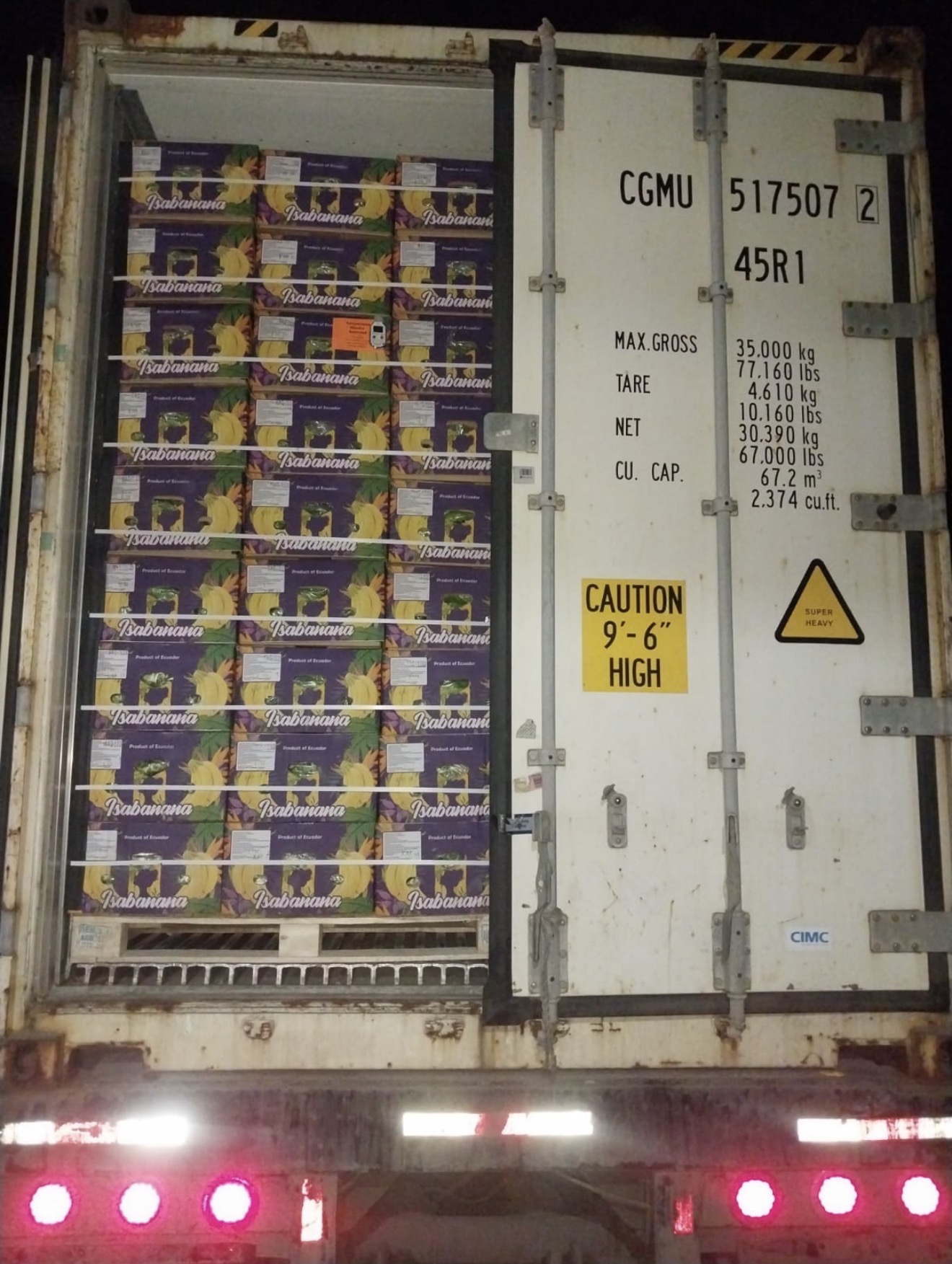 Premium Cavendish bananas at ZORIVA packhouse